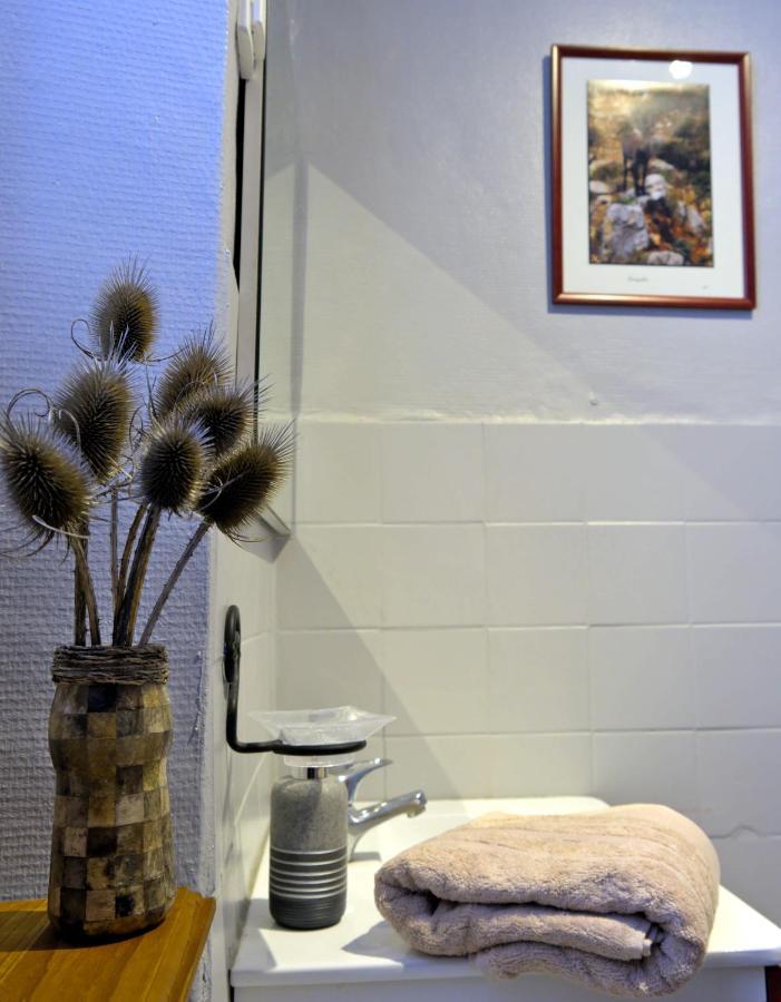 Au Diapason Chambres D'Hotes Montagne Auzet 외부 사진